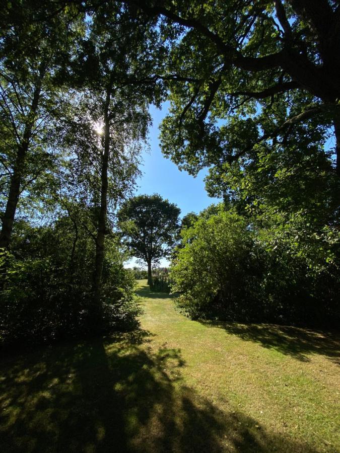 Appartement Duinweg Onstwedde 외부 사진
